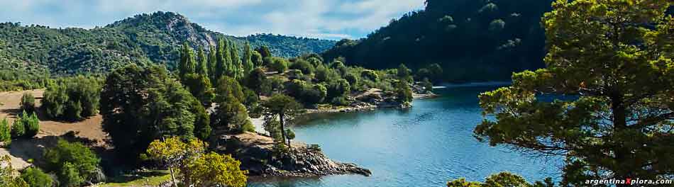 El uso sustentable de los Bosques