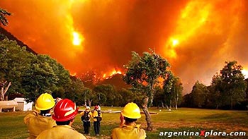 Campamento en un bosque del sur argentino