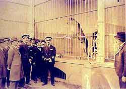 IInauguracion del Zoológico de Buenos Aires