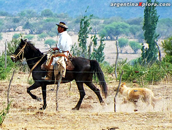 Don Franco en Las Juntas - La Viña, Salta