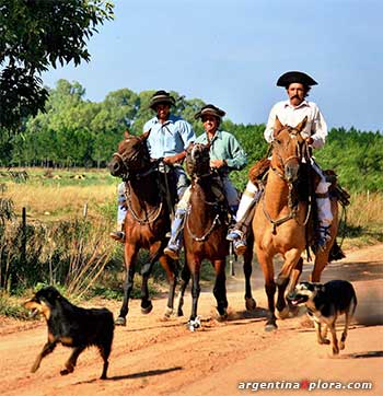 gauchos troperos