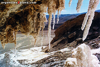 Estalactitas de alumbre en el Salar de Antofalla ( el salar tiene 187 Km. de largo)