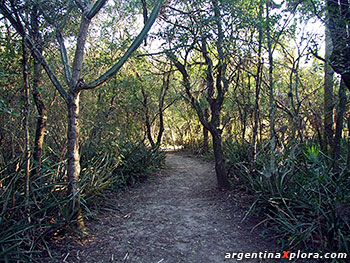 Parque Nacional Río Pilcomayo. Formosa