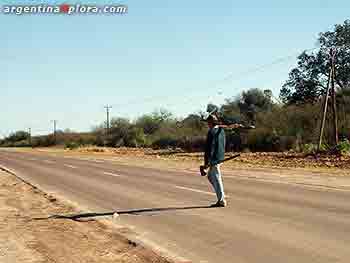 Hachero camina por la ruta desierta