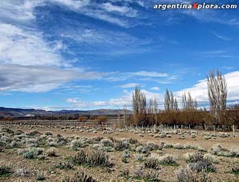 Estepa Patagónica, Cushamen, Chubut