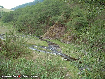 ecosistema en Río, Tucumán