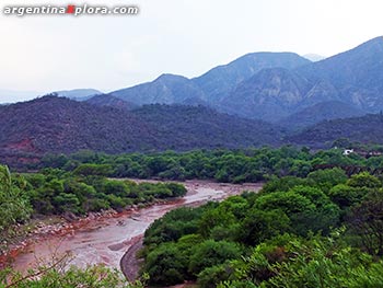 Río Guachipas en Alemania,Valles Calchaquies