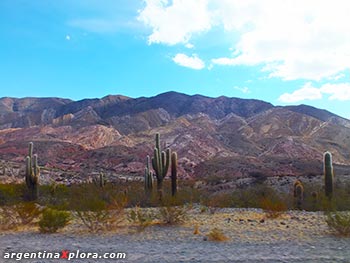 Cachi, Salta.. Parque Nacional Los Cardones