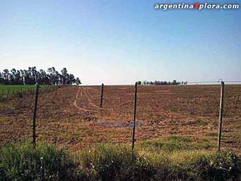 Campo en Huinca Renancó, Córdoba