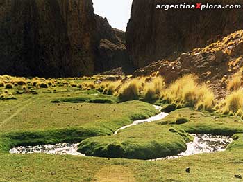 Pampa en Buenos Aires