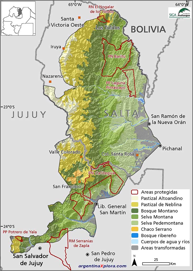 MAPA DE LAS ZONAS DE YUNGAS DEL NORTE DE ARGENTINA