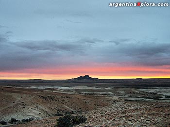 paisaje bosque petrificado jaramillo