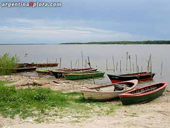 Botes y canos listos para la pesca