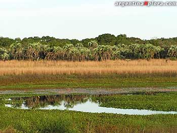 Parque Nacional Mburucuyá