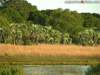 Parque Nacional Mburucuyá