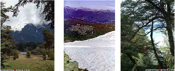 Cerro López, Ventisquero Castaño Overo y Lago Nahuel Huapi