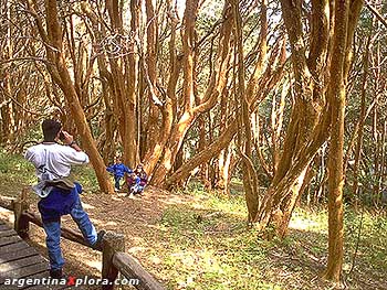 visitantes Parque Nacional Arrayanes