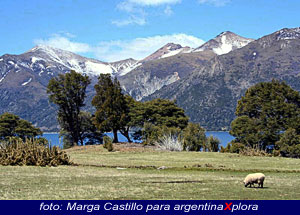 Lago y cerros en Parque Lanin