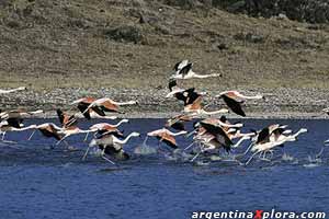 Monumento Natural Laguna de los Pozuelos