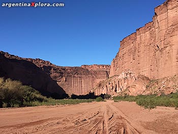 Cañón de Talampaya