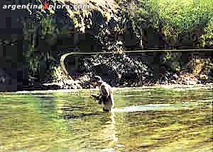 Flycasting en el Malleo, Neuquén