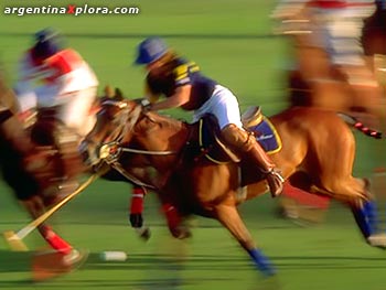 Polo en Argentina