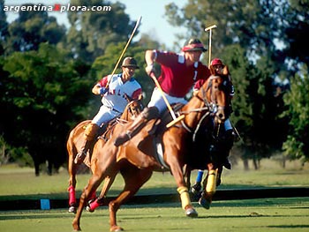 Partido de polo