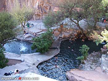 Termas de Fiambalá, Catamarca