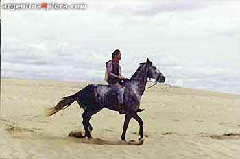 Cabalgata por los médanos del Faro Querandí