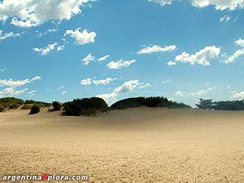 Calle de Pinamar