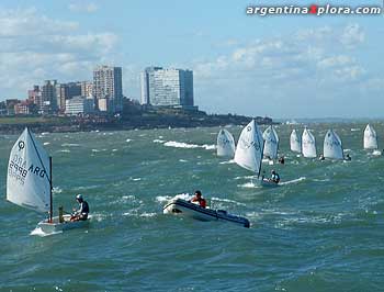 Optimists. Viento en popa a toda vela!