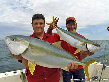 El favorito de los Pescadores . El Pez Limón