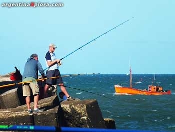 Pesca de costa en la Escollera Sur del puerto