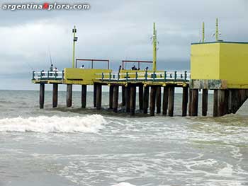 Pesca desde el muelle de Pinamar