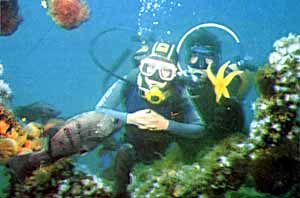 Buceo en Puerto Madryn Chubut