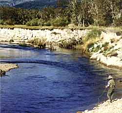 Pesca con Mosca en Cholila