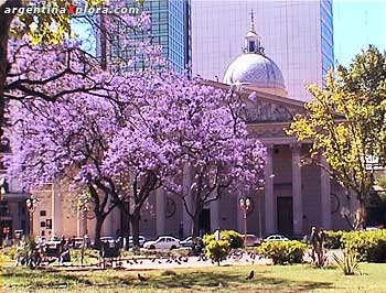 Catedral Metropolitana. Templo donde el Papa Francisco I desarrollaba su tarea pastoral previa a su nombramiento 