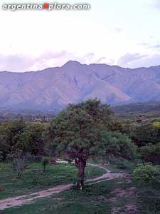 Atardecer en Traslasierra