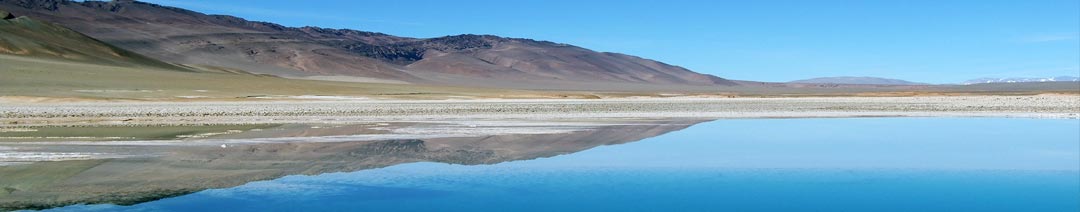 naturaleza-banner