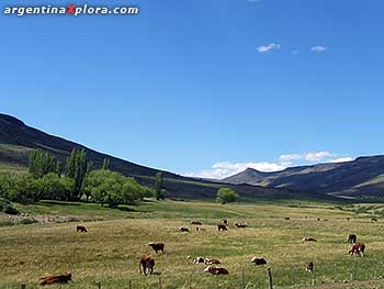 Valle en Aluminé