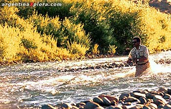 Otro punto de pesca extraordinario: el Río Malleo