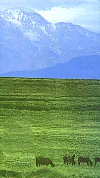 Cordillera del Viento