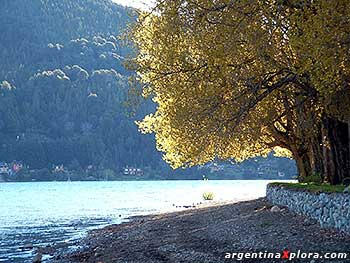 Playa Selva Negra, Península de San Pedro