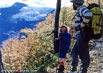 Trekking en Tronador