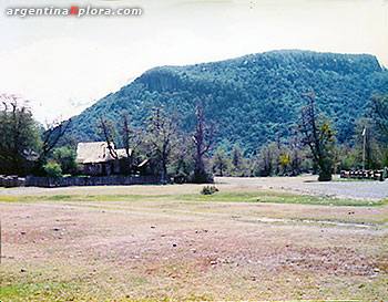 Casa de Manfredo - Pampa Linda