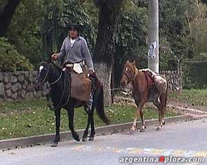 Paisano en San Lorenzo