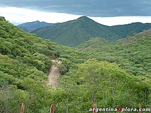 Alrededores de Salta ciudad