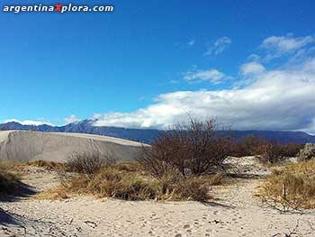 Arenosa, arenosita, mi tierra cafayateña, el que bebe de su vino gana sueño y pierde pena. "La Arenosita" cueca de Leguizamón y Castilla