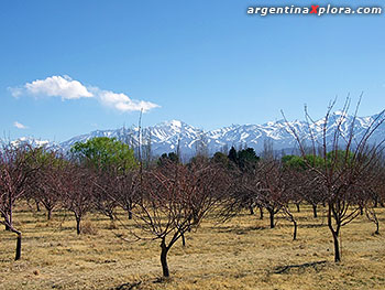 Manzanos y cordillera de Ansilta