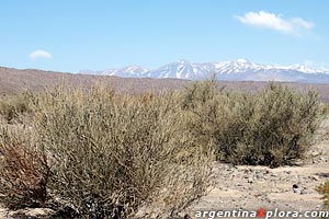 Valle hermoso - Paso de los Patos